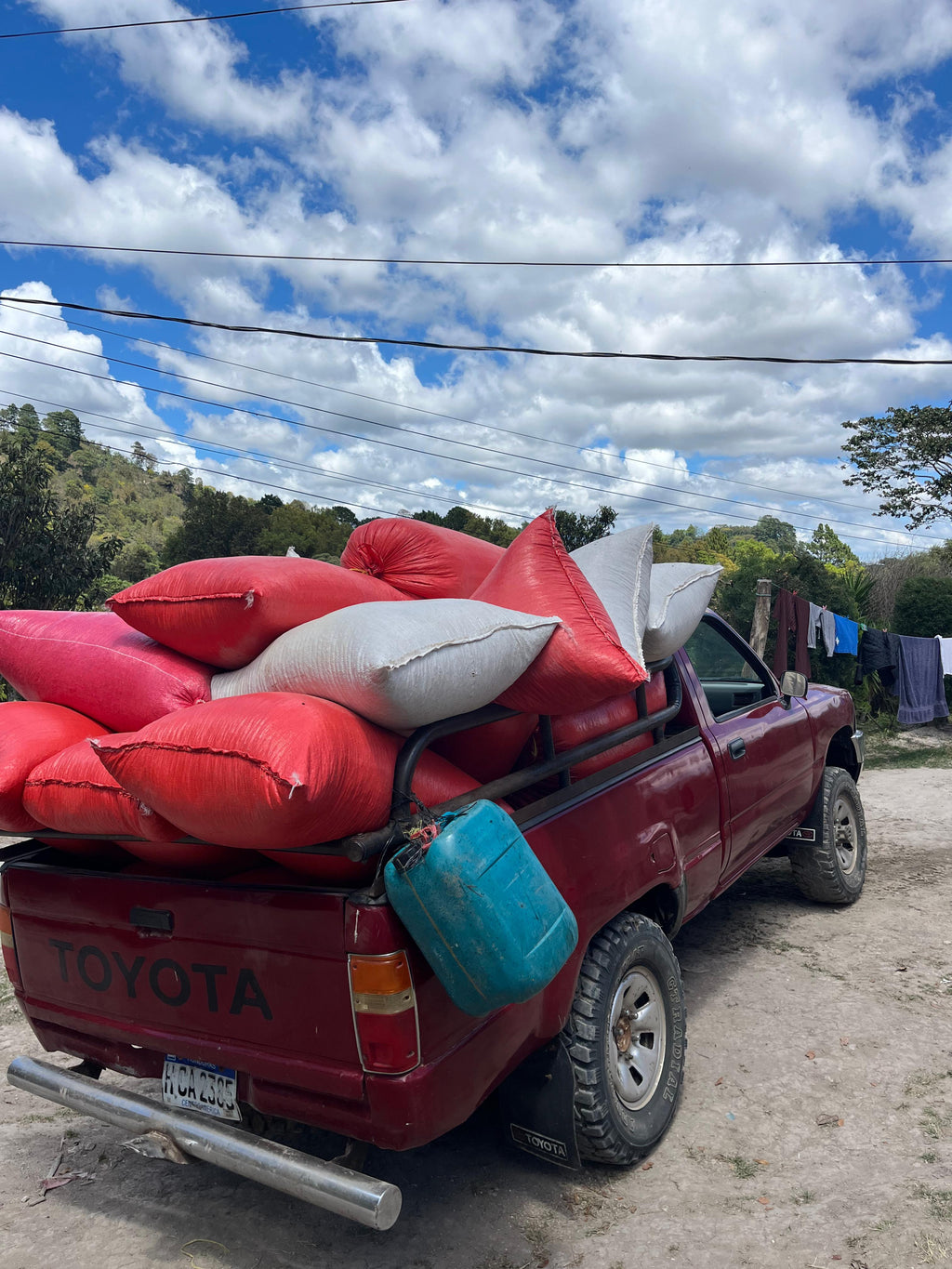 Ariel Funez - Honduras