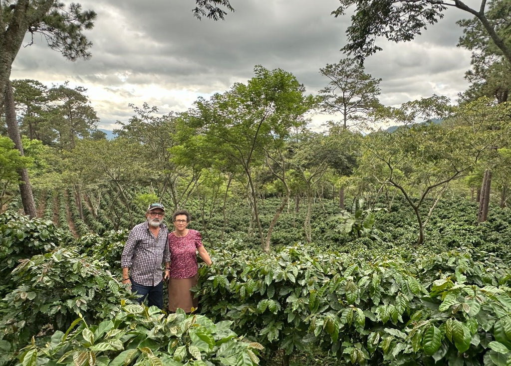 La Rosita Geisha